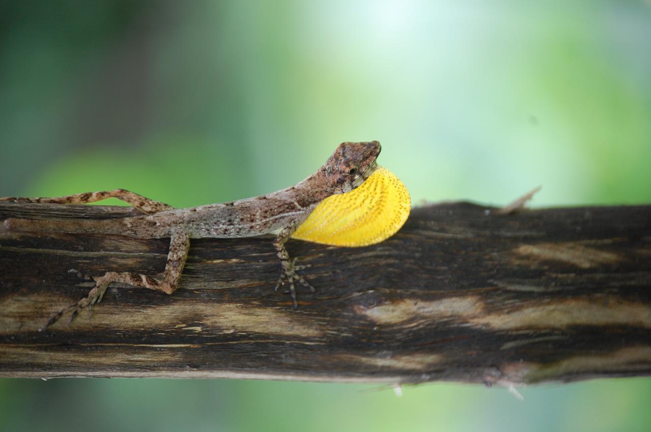 Chimirol La Cima Del Mundoヴィラ エクステリア 写真